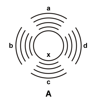 Schemă antibiogramă - însamânţare