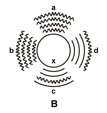 Schemă antibiogramă - rezultat