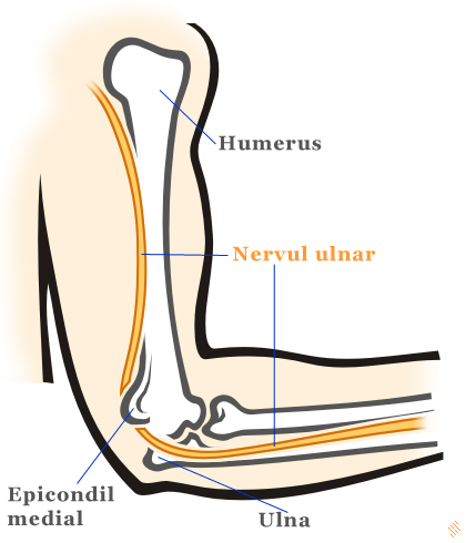 durere neurologică la cot