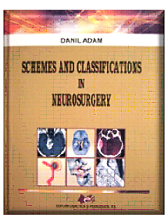 Schemes and classifications in neurosurgery