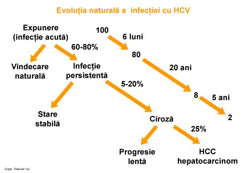 evolutia infectiei cu virusul hepatiei C