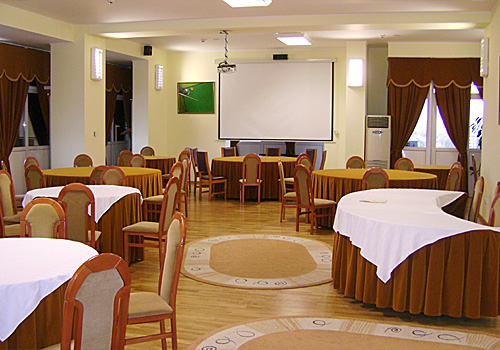 Sala de conferinte - Centrul Victor Babes, Bucuresti