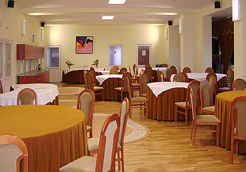 Sala de conferinte - Centrul Victor Babes, Bucuresti