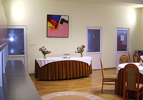 Sala de conferinte - Centrul Victor Babes, Bucuresti