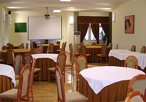 Sala de conferinte - Centrul Victor Babes, Bucuresti